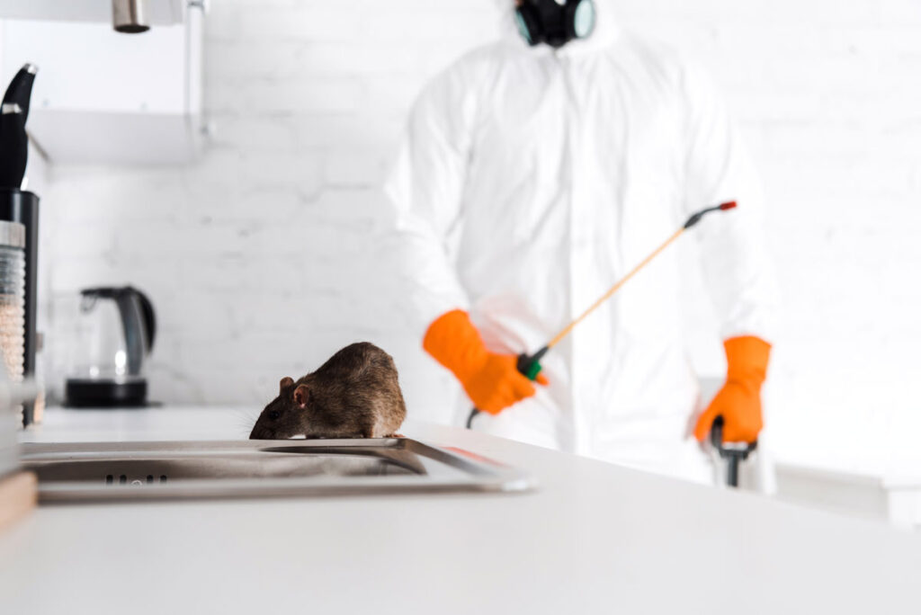 Rodent Control Service